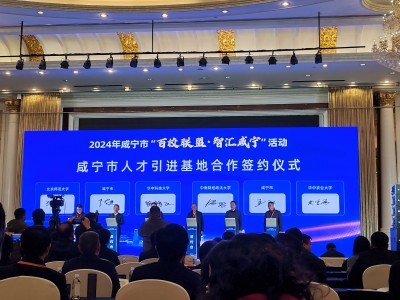 20241223161680448044 Ì«Ñô¼¯Íŵç×ÓÓÎÏ·(Öйú)ÓÐÏÞ¹«Ë¾¹ÙÍø